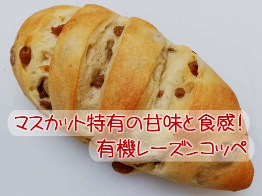 有機マスカットレーズン コッペ